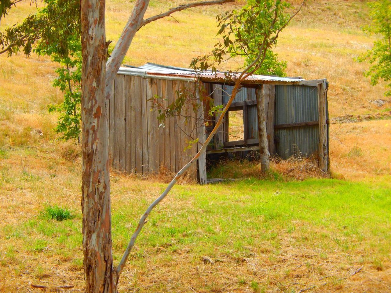 Morialta Barns Bed and Breakfast Norton Summit Exteriör bild